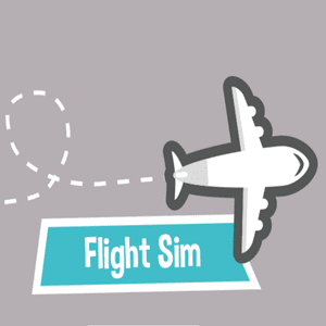 flightsim